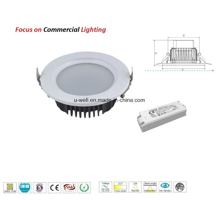 Indoor Commmercial Light for Hotel Lighting